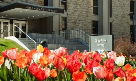 The Library with tulips in front